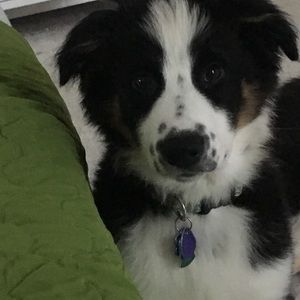 Meet your Posher, Heidi